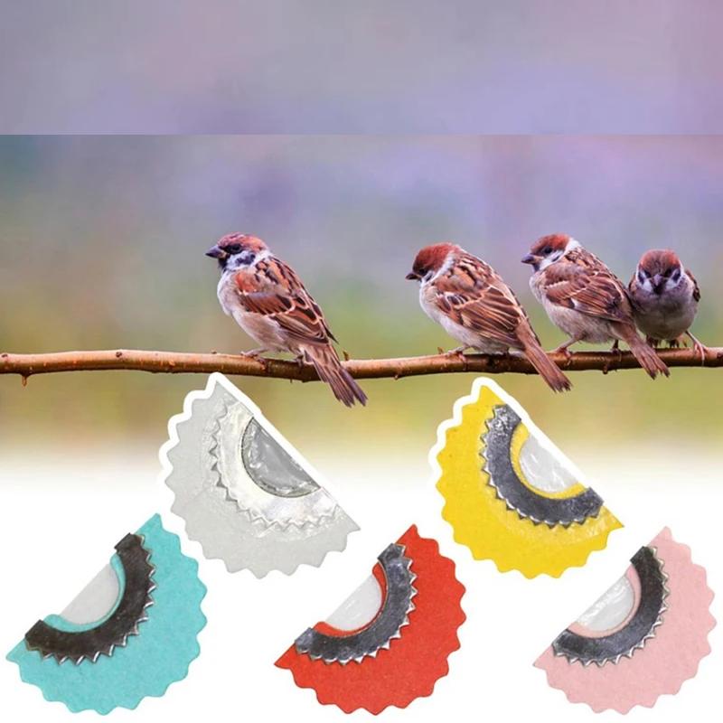 Bird Whistle Magic Tongue Warbler Noisemaker Toy by HitMyNeed