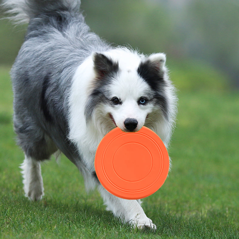 Bite Proof Silicone Frisbee Pet Toy 17.8cm by HitMyNeed
