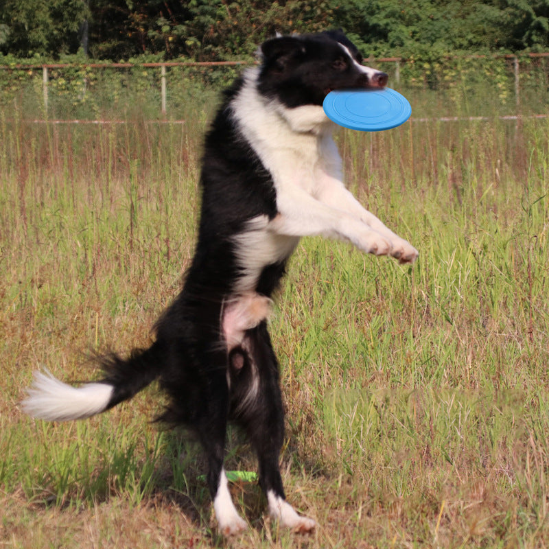 Bite Proof Silicone Frisbee Pet Toy 17.8cm by HitMyNeed