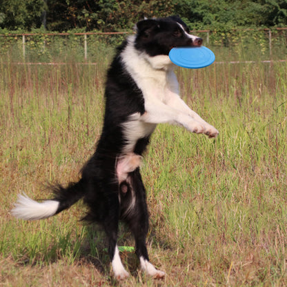 Bite Proof Silicone Frisbee Pet Toy 17.8cm by HitMyNeed