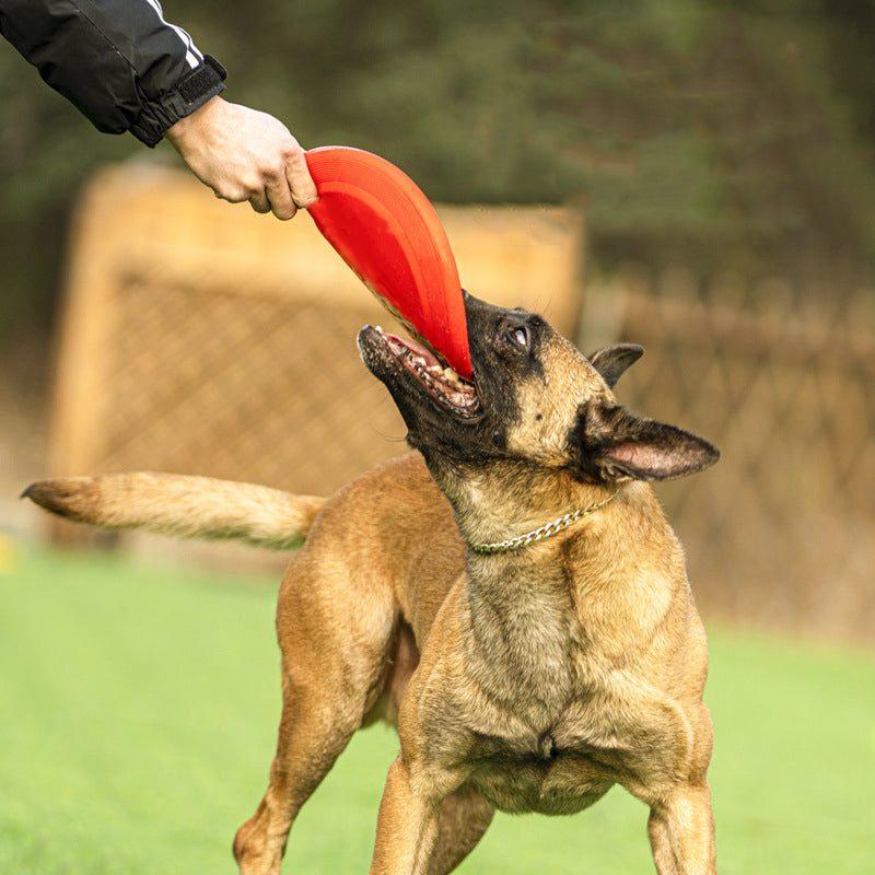 Bite Proof Silicone Frisbee Pet Toy 17.8cm by HitMyNeed