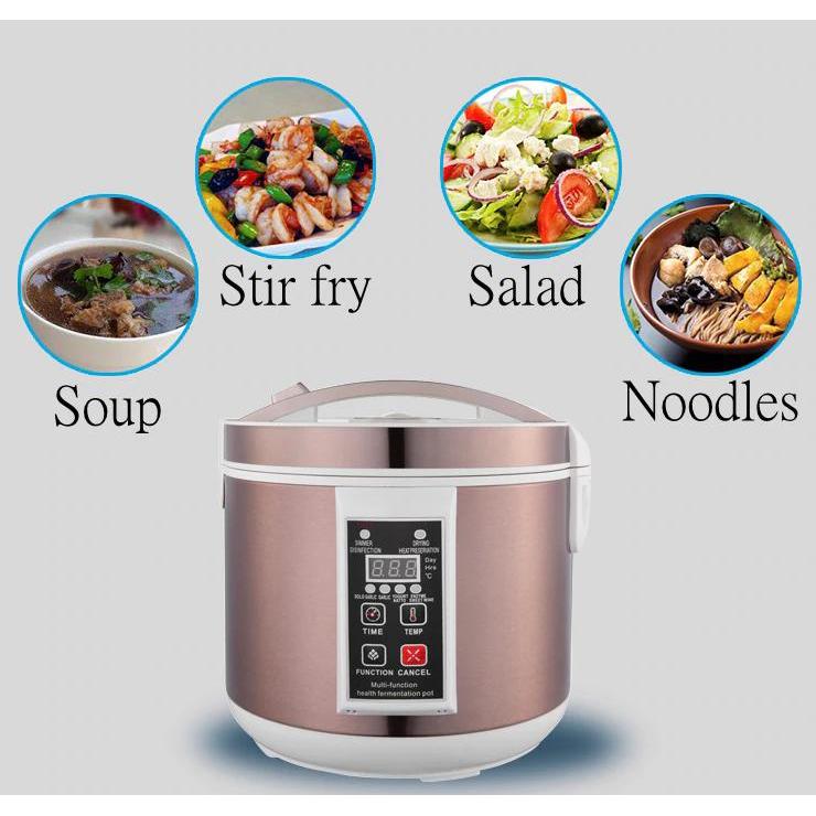 Black Garlic Fermenter 6L Stainless Steel 90W by HitMyNeed