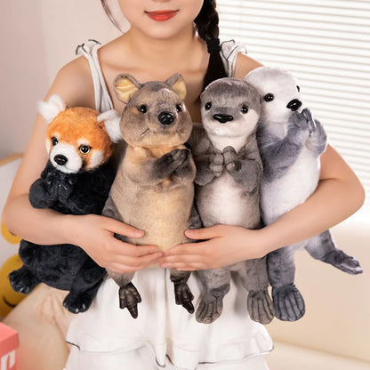 Blessing Animal Plush Toys Red Panda Otter 30cm by HitMyNeed