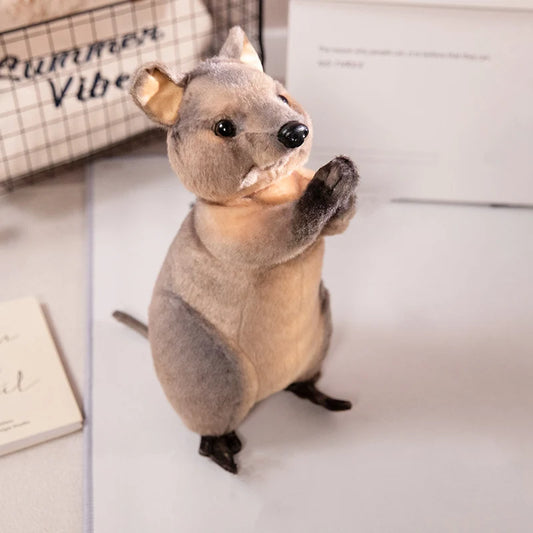 Blessing Animal Plush Toys Red Panda Otter 30cm kangaroo by HitMyNeed