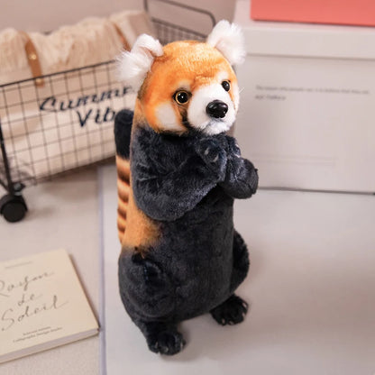 Blessing Animal Plush Toys Red Panda Otter 30cm red-panda by HitMyNeed