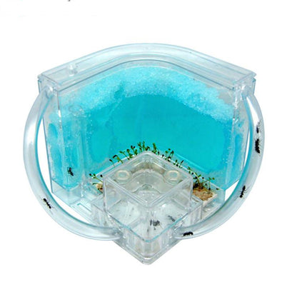 Blue Gel Live Ant Farm Habitat (Ants Not Included) by HitMyNeed