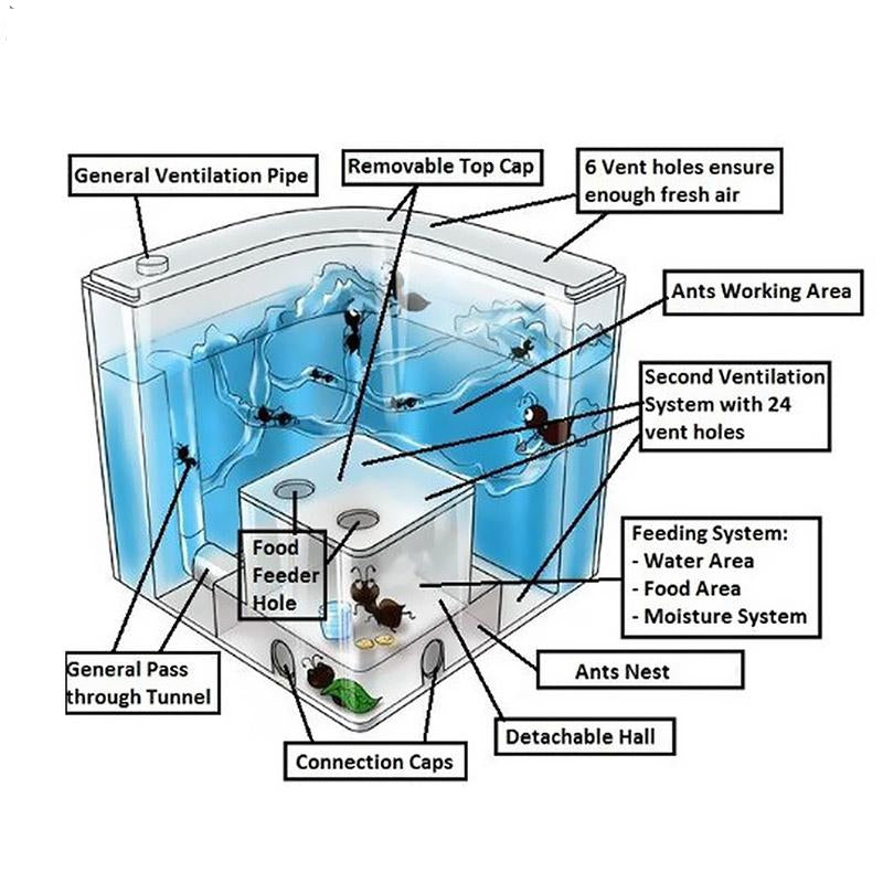Blue Gel Live Ant Farm Habitat (Ants Not Included) by HitMyNeed