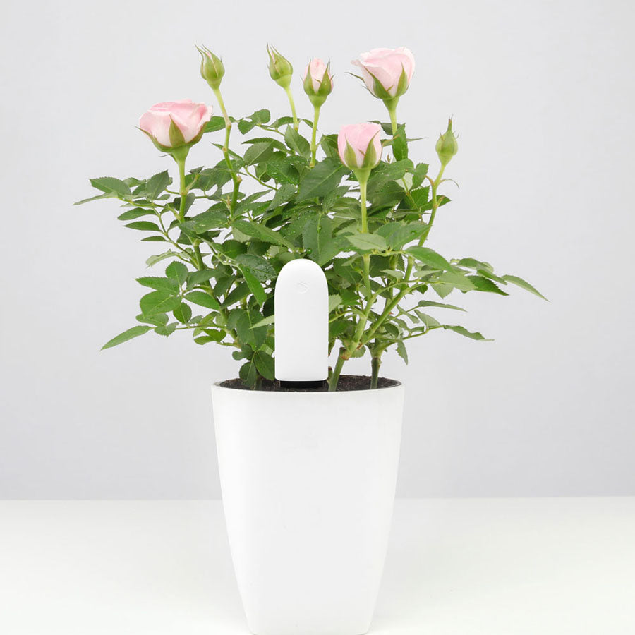 Bluetooth Soil Sensor for Plant Health Monitoring by HitMyNeed