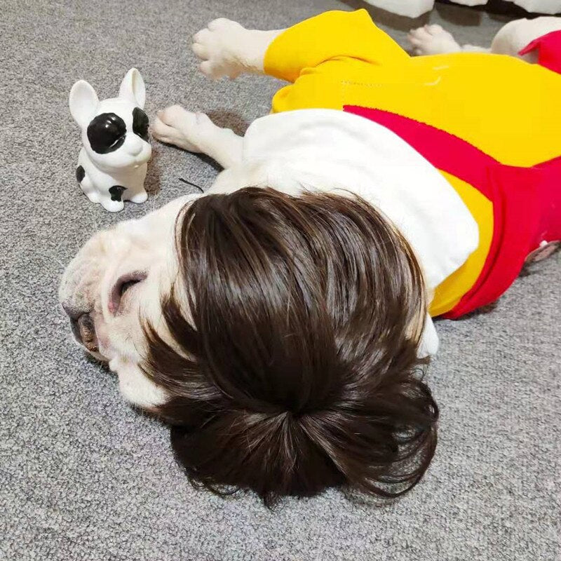 Bob Cut Pug Wig with Bangs for Small Pets by HitMyNeed