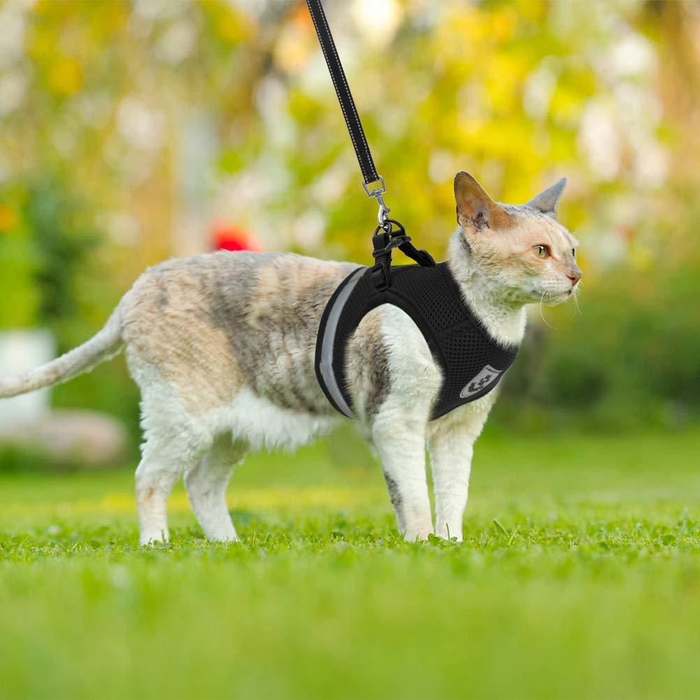 Breathable Escape-Proof Cat Harness with Leash by HitMyNeed