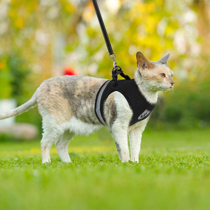Breathable Escape-Proof Cat Harness with Leash by HitMyNeed