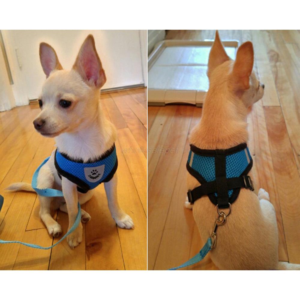Breathable Mesh Small Dog Harness and Leash Set by HitMyNeed