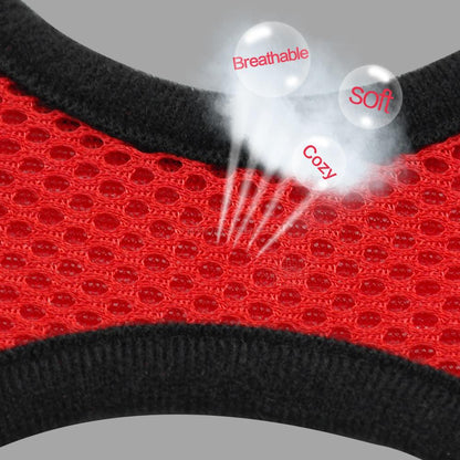 Breathable Mesh Small Dog Harness and Leash Set by HitMyNeed