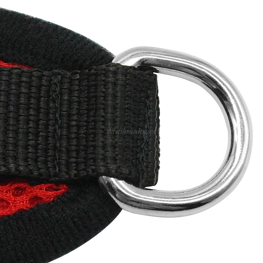 Breathable Mesh Small Dog Harness and Leash Set by HitMyNeed