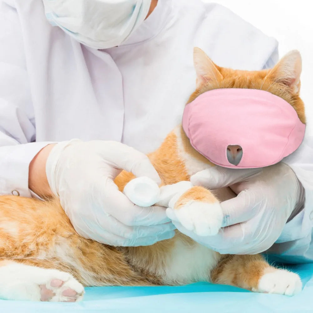 Breathable Nylon Cat Muzzle for Safe Grooming by HitMyNeed