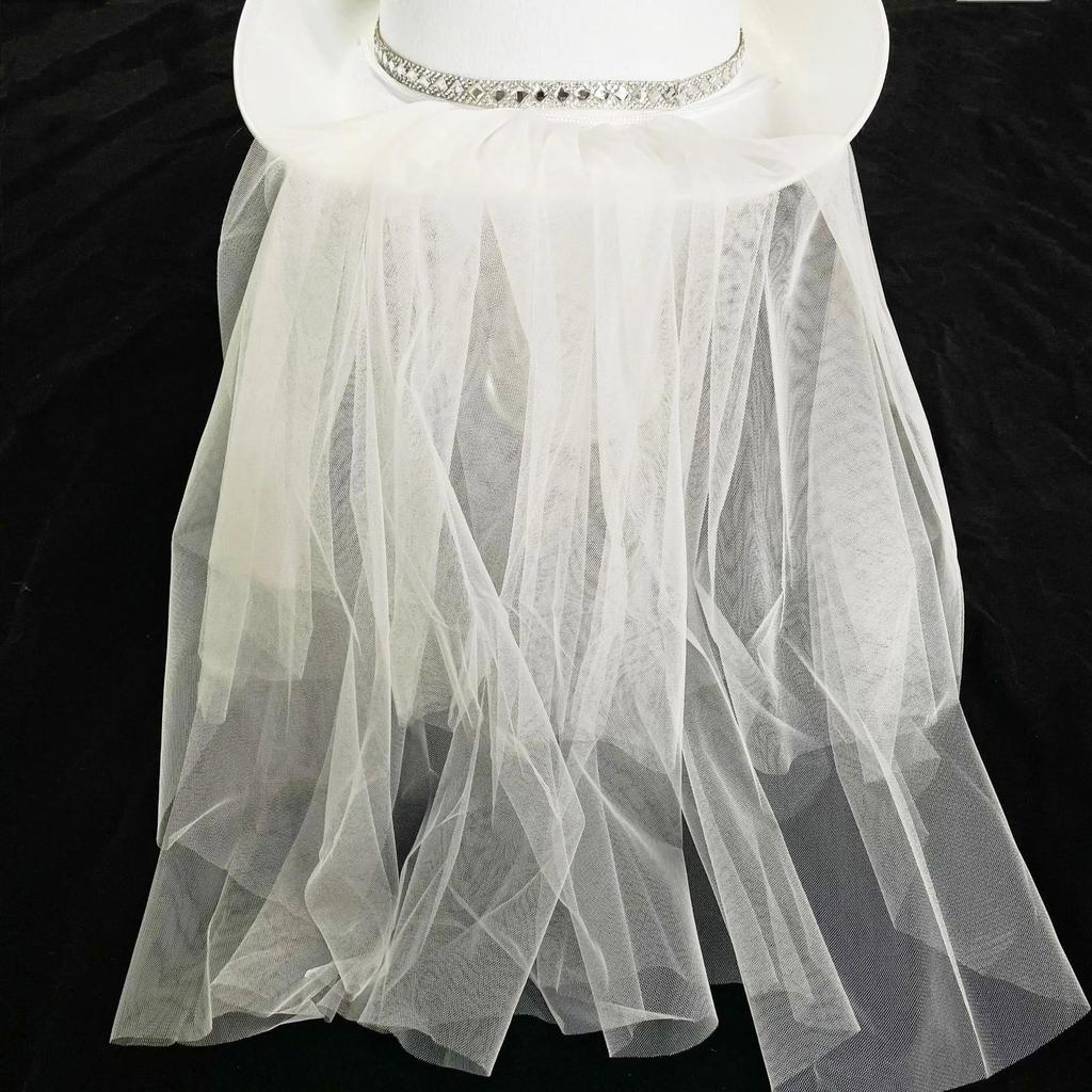 Bride Cowboy Hat with Veil for Weddings & Parties by HitMyNeed
