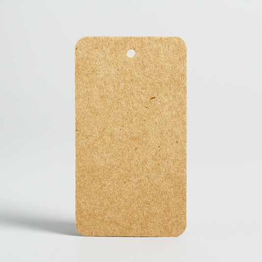 Brown Kraft Paper Tags with Hole (100 Pack, 9 x 5 cm) by HitMyNeed