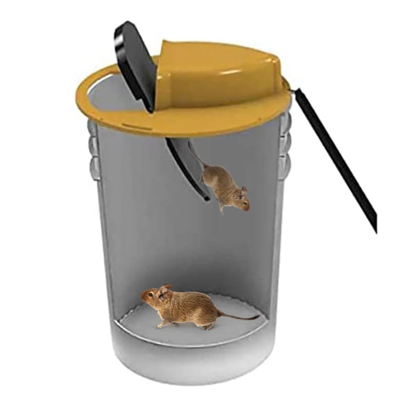 Bucket Lid Humane Mouse Trap with Ramp by HitMyNeed