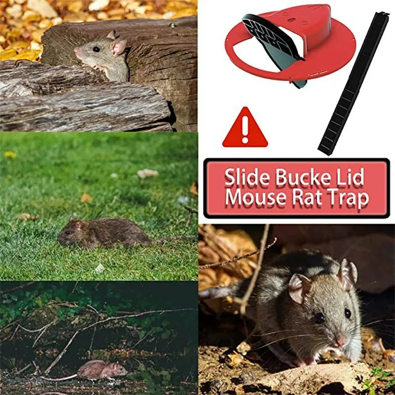 Bucket Lid Humane Mouse Trap with Ramp by HitMyNeed