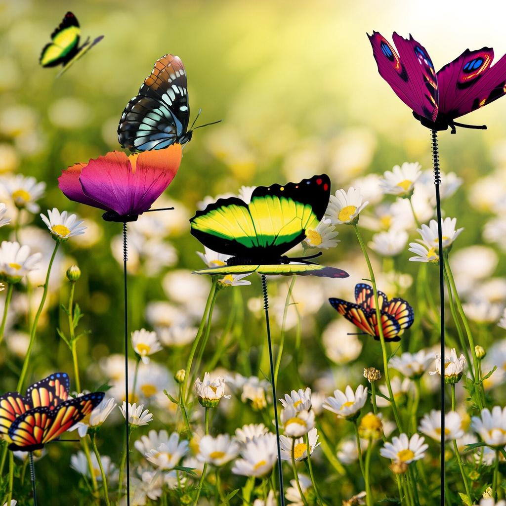 Butterfly Garden Decor Stakes Set of 24 by HitMyNeed