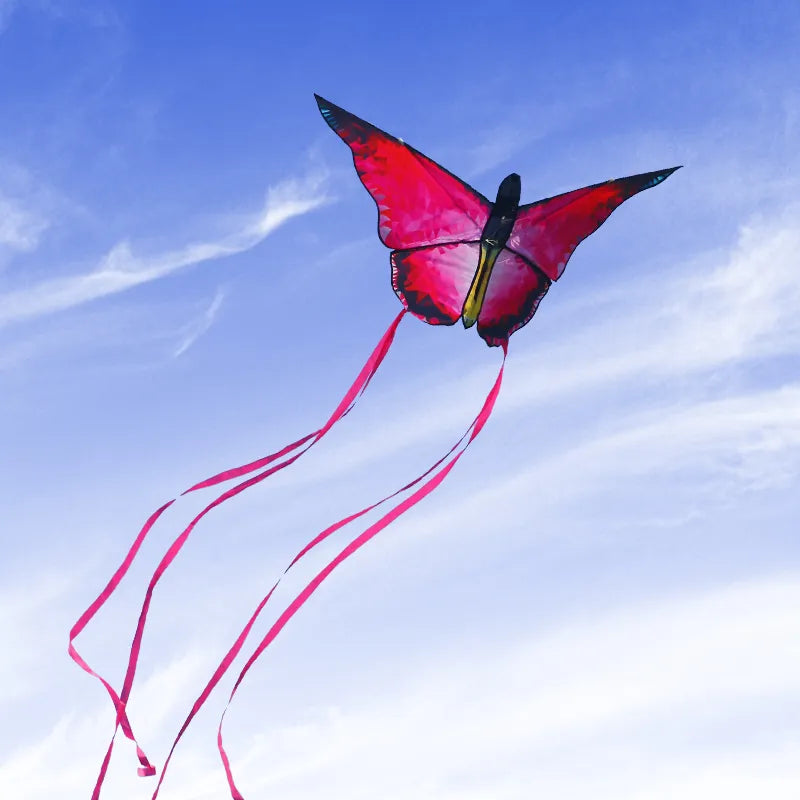 Butterfly Kite with 100m Line for Kids and Adults by HitMyNeed