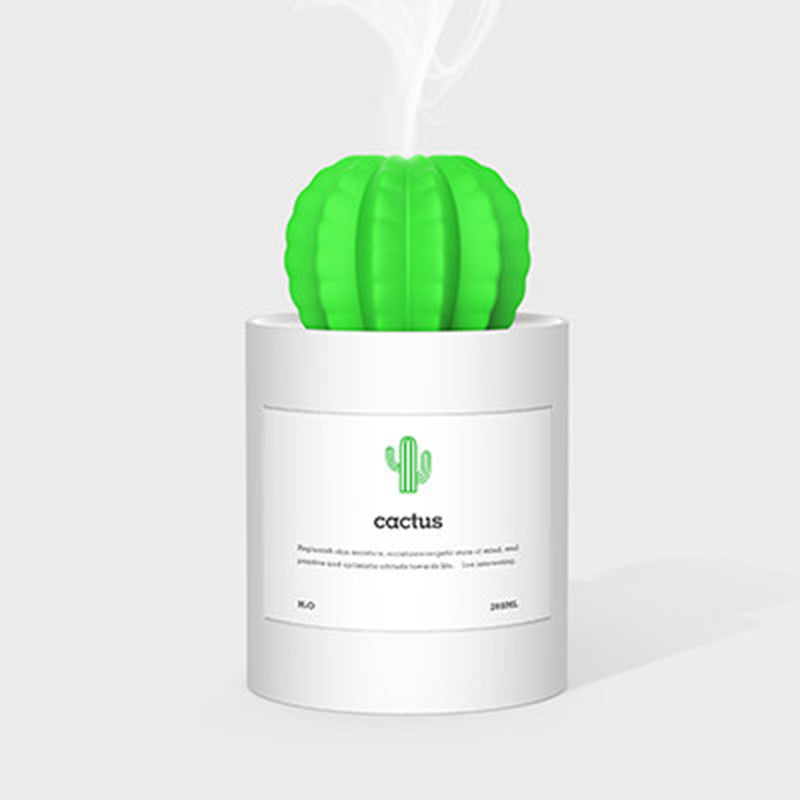 Cactus Small Humidifier Air Mist Maker by HitMyNeed