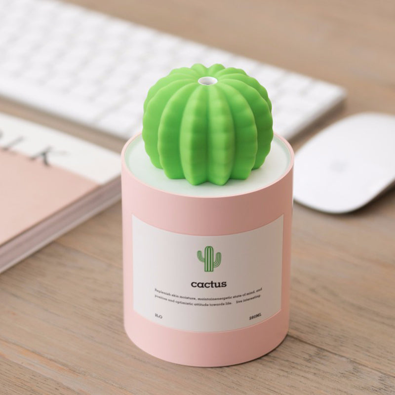 Cactus Small Humidifier Air Mist Maker by HitMyNeed