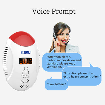 Carbon Monoxide Detector Alarm with LCD Display by HitMyNeed