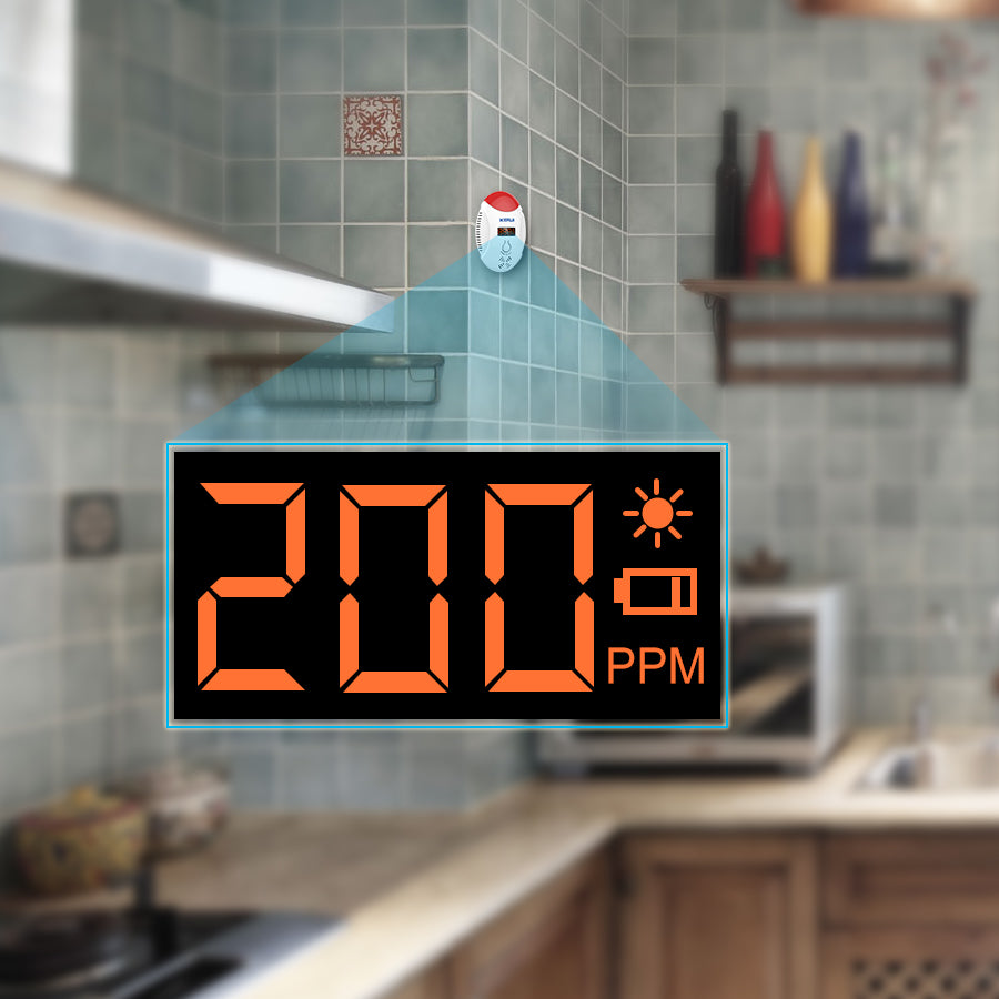 Carbon Monoxide Detector Alarm with LCD Display by HitMyNeed