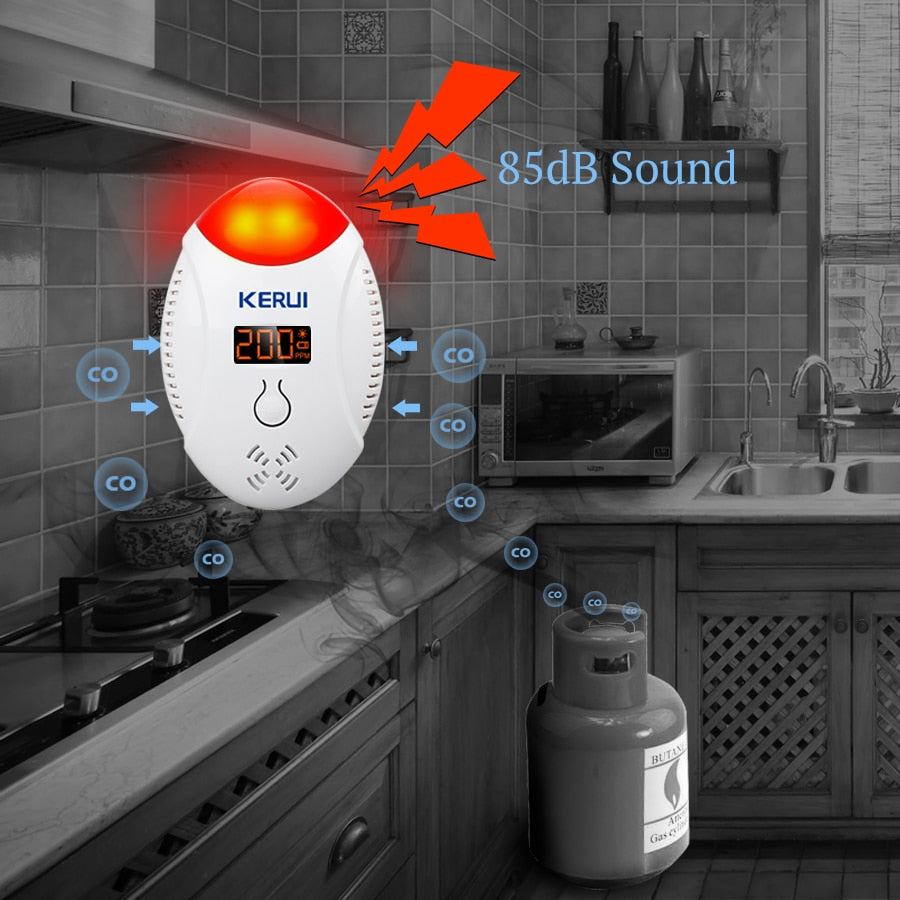 Carbon Monoxide Detector Alarm with LCD Display by HitMyNeed
