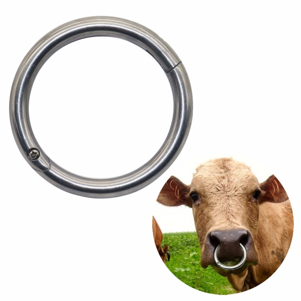 Carbon Steel Cow Nose Rings, 7 cm (Set of 2) by HitMyNeed