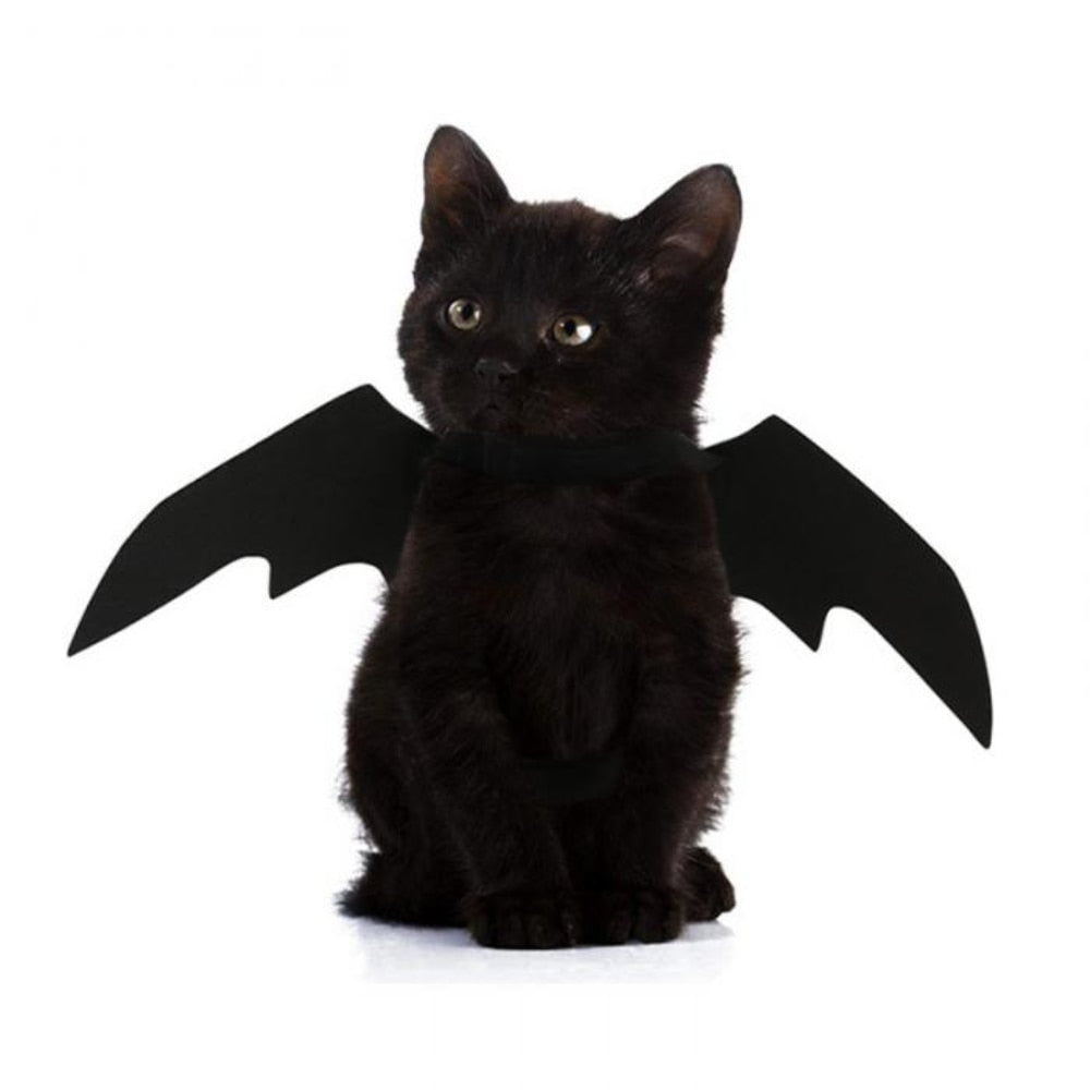Cat Bat Costume Halloween Wings with Adjustable Straps by HitMyNeed