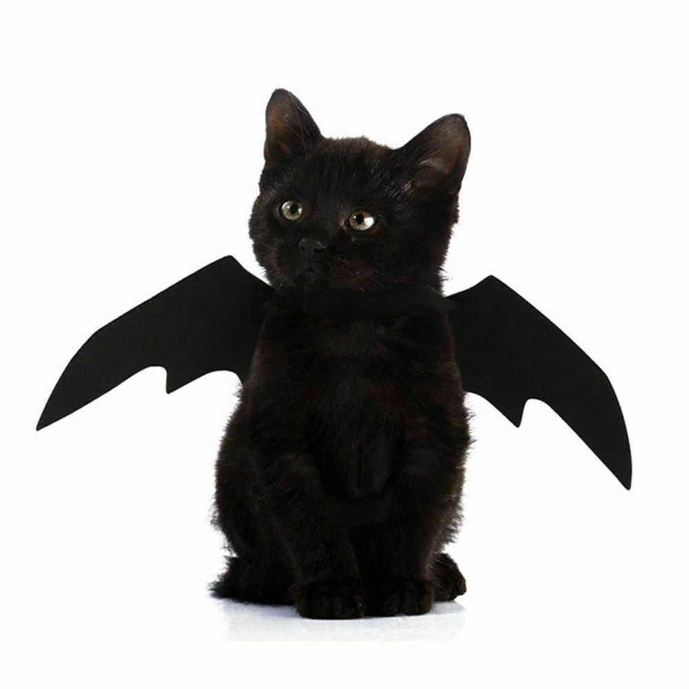 Cat Bat Costume Wings for Pets - Adjustable Halloween Outfit by HitMyNeed