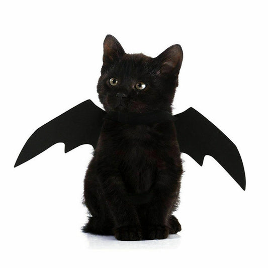 Cat Bat Costume Wings for Pets - Adjustable Halloween Outfit by HitMyNeed