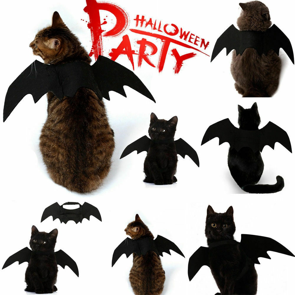 Cat Bat Costume Wings for Pets - Adjustable Halloween Outfit by HitMyNeed