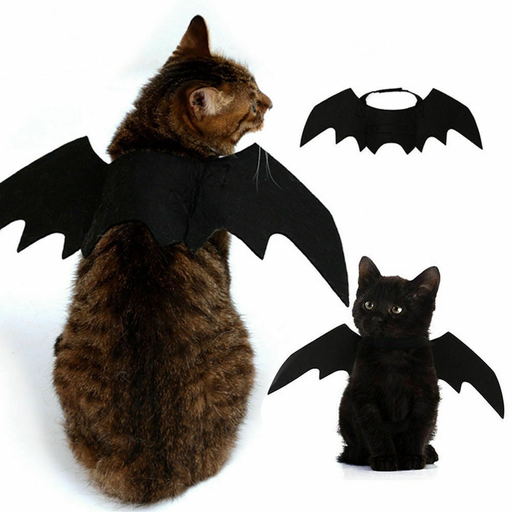 Cat Bat Costume Wings for Pets - Adjustable Halloween Outfit by HitMyNeed