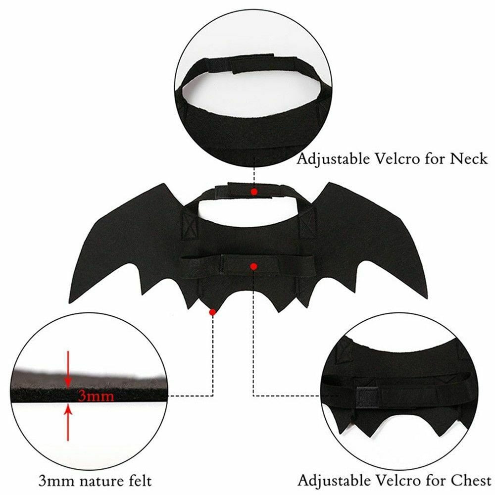 Cat Bat Costume Wings for Pets - Adjustable Halloween Outfit by HitMyNeed
