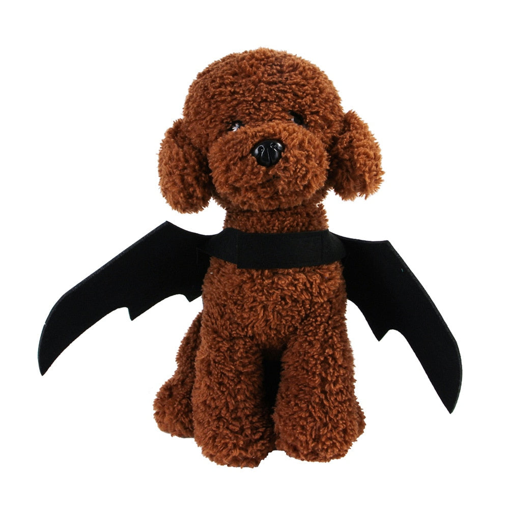 Cat Bat Costume Wings for Pets - Adjustable Halloween Outfit by HitMyNeed