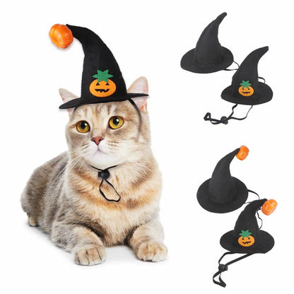 Cat Bat Wings Costume for Halloween & Parties by HitMyNeed