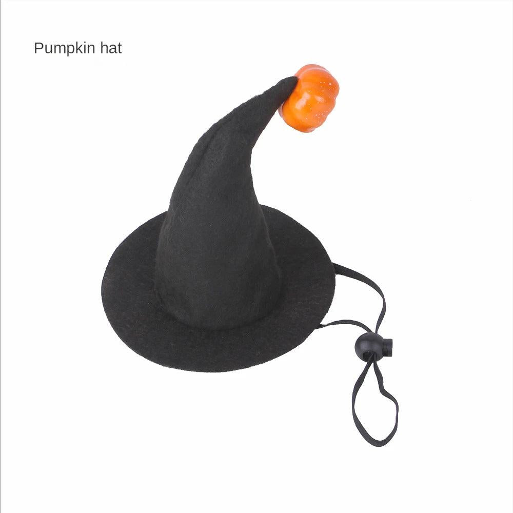Cat Bat Wings Costume for Halloween & Parties pumpkin-hat by HitMyNeed