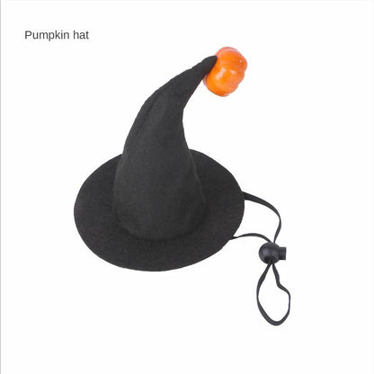 Cat Bat Wings Costume for Halloween & Parties pumpkin-hat by HitMyNeed