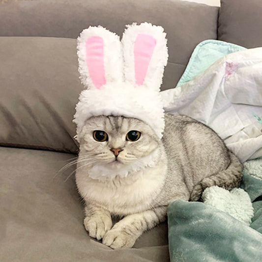 Cat Bunny Ears Headband for Cats & Small Dogs by HitMyNeed