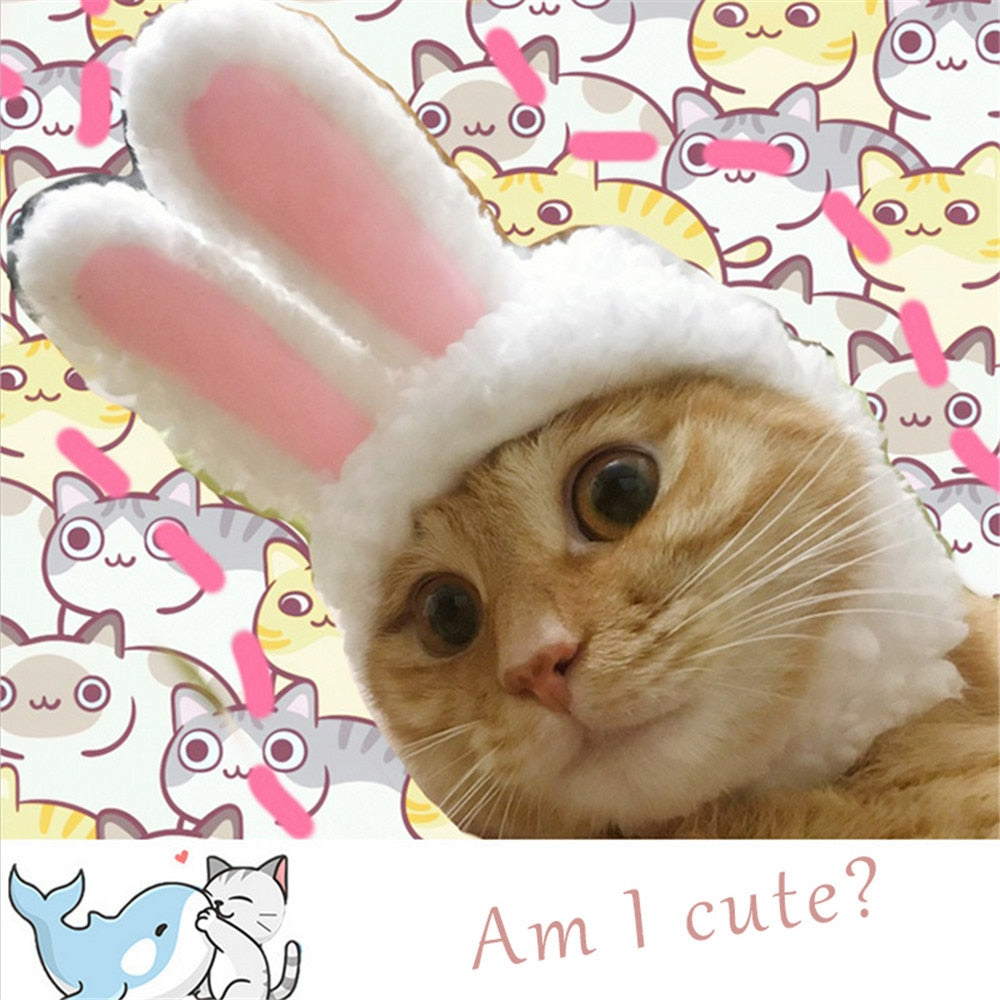 Cat Bunny Hat with Rabbit Ears Costume for Easter by HitMyNeed
