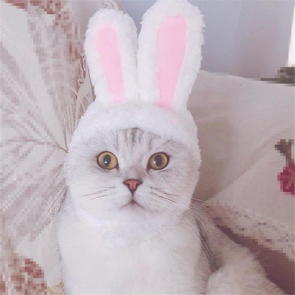 Cat Bunny Hat with Rabbit Ears Costume for Easter by HitMyNeed