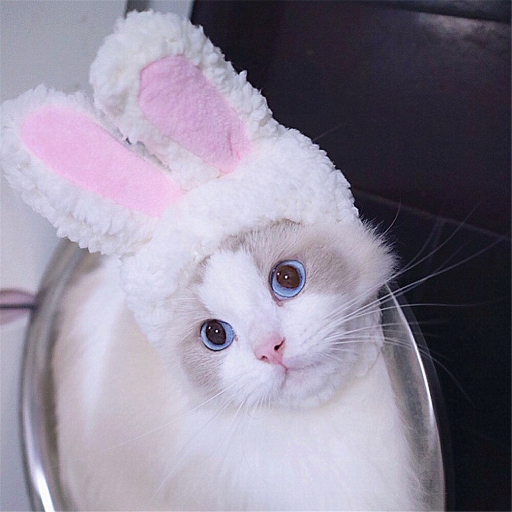 Cat Bunny Hat with Rabbit Ears Costume for Easter by HitMyNeed