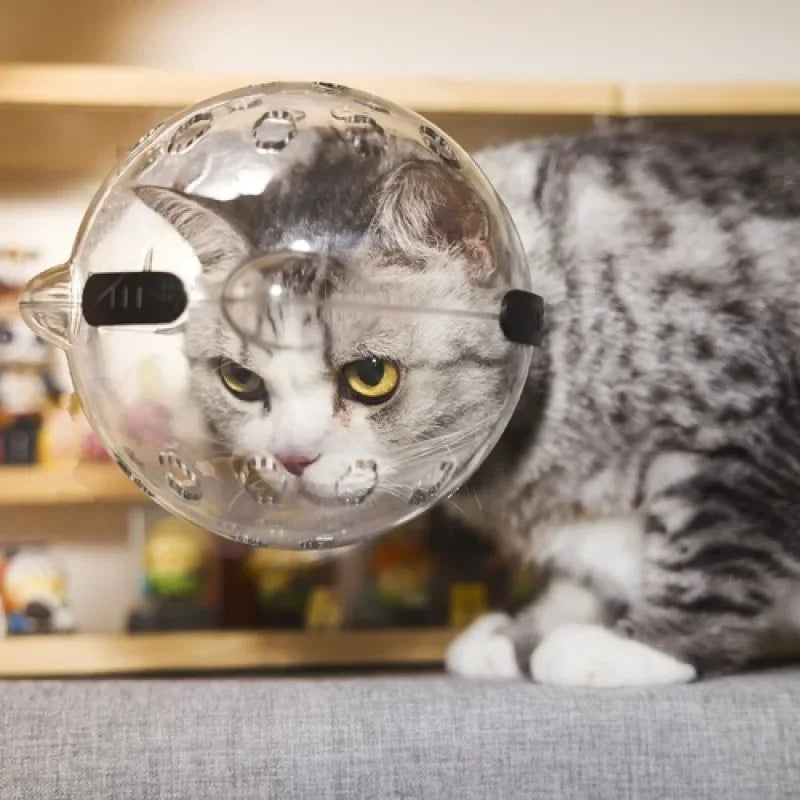 Cat Head Protection Ball Breathable Grooming Mask small by HitMyNeed