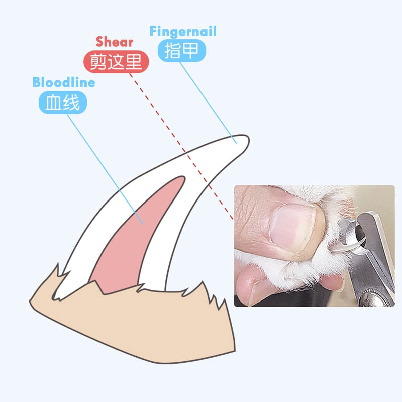 Cat Nail Trimmer with Safety Lock for Pets by HitMyNeed