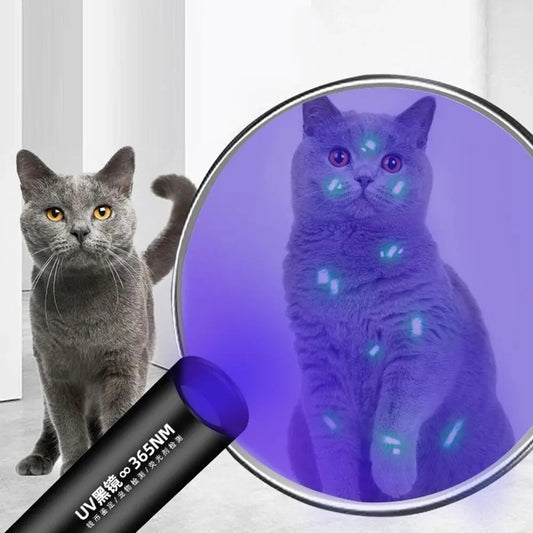 Cat Ringworm UV Detection Light with Black Mirror by HitMyNeed