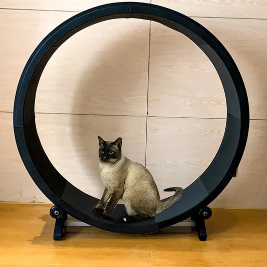 Cat Treadmill Roller with Scratcher & Teaser Toy by HitMyNeed