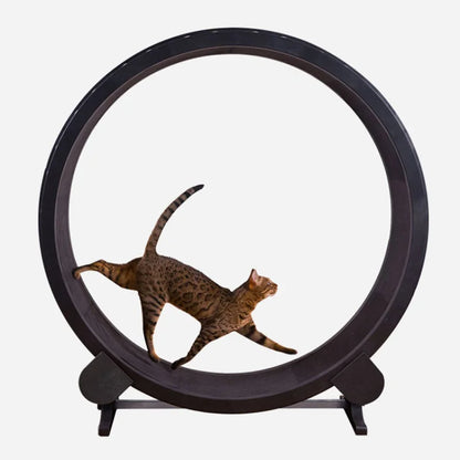 Cat Treadmill Roller with Scratcher & Teaser Toy by HitMyNeed